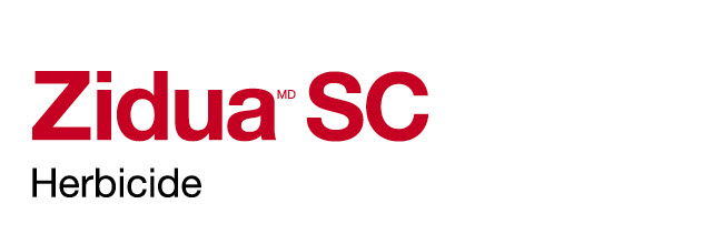 Zidua SC logo